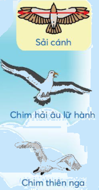 Toán lớp 3 trang 73 - Chia số có ba chữ số cho số có một chữ số - SGK Chân trời sáng tạo 18