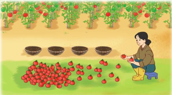 Toán lớp 3 trang 78 - Chia cho số có một chữ số - SGK Cánh diều 2 1