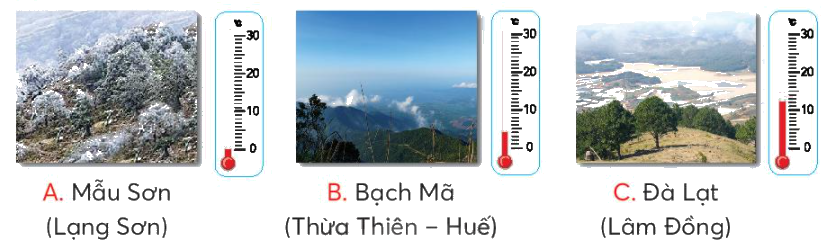 Toán lớp 3 trang 82 - Em làm được những gì - SGK Chân trời sáng tạo 10