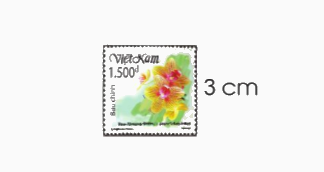 Toán lớp 3 trang 89 - Diện tích hình chữ nhật, diện tích hình vuông - SGK Cánh diều 4
