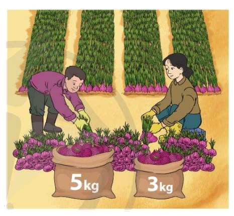 Toán lớp 4 trang 116 - Bài 52: Ôn tập chung - SGK Cánh diều 8