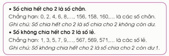 Toán lớp 4 trang 28 - Bài 11: Luyện tập - SGK Cánh diều 5