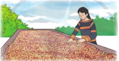 Toán lớp 4 trang 43 - Bài 18: Luyện tập - SGK Cánh diều 1