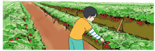 Toán lớp 4 trang 66 - Bài 82: Tìm phân số của một số - SGK Cánh diều 3