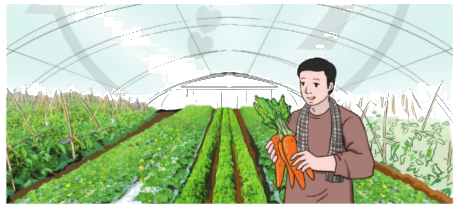 Toán lớp 4 trang 68 - Bài 83: Luyện tập - SGK Cánh diều 5