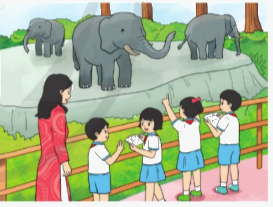 Toán lớp 4 trang 74 - Bài 86: Luyện tập chung - SGK Cánh diều 6