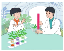 Toán lớp 5 Bài 25. Cộng các số thập phân - SGK cánh diều 8