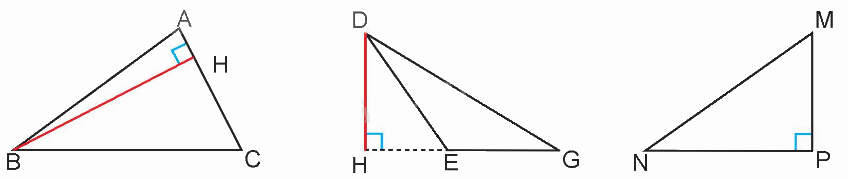 Toán lớp 5 Bài 25. Hình tam giác. Diện tích hình tam giác - SGK kết nối tri thức 2
