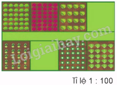 Toán lớp 5 Bài 46. Luyện tập chung - SGK cánh diều 8