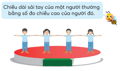 Toán lớp 5 Bài 49. Diện tích hình tròn - SGK chân trời sáng tạo 8