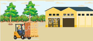 Toán lớp 5 Bài 74. Quãng đường, thời gian trong chuyển động đều - SGK cánh diều 3
