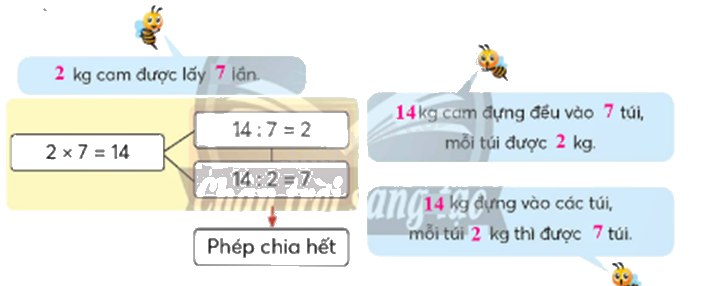 Toán lớp 5 Bài 92. Ôn tập phép nhân, phép chia - SGK chân trời sáng tạo 0 3