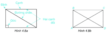 Trả lời Hoạt động 2 trang 83 SGK Toán 6 Kết nối tri thức với cuộc sống 1