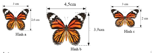 Trắc nghiệm Bài 10: Hình đồng dạng trong thực tiễn Toán 8 Cánh diều 0 34