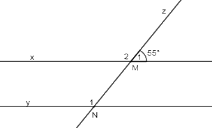 Trắc nghiệm Bài 10: Tiên đề Euclid. Tính chất của các đường thẳng song song Toán 7 Kết nối tri thức 0 9