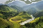 Trắc nghiệm Bài 11: Luyện tập Toán 4 Cánh diều 0 15
