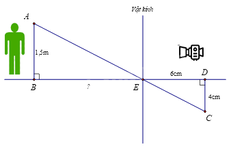 Trắc nghiệm Bài 15: Định lí Thalès trong tam giác Toán 8 Kết nối tri thức 0 32