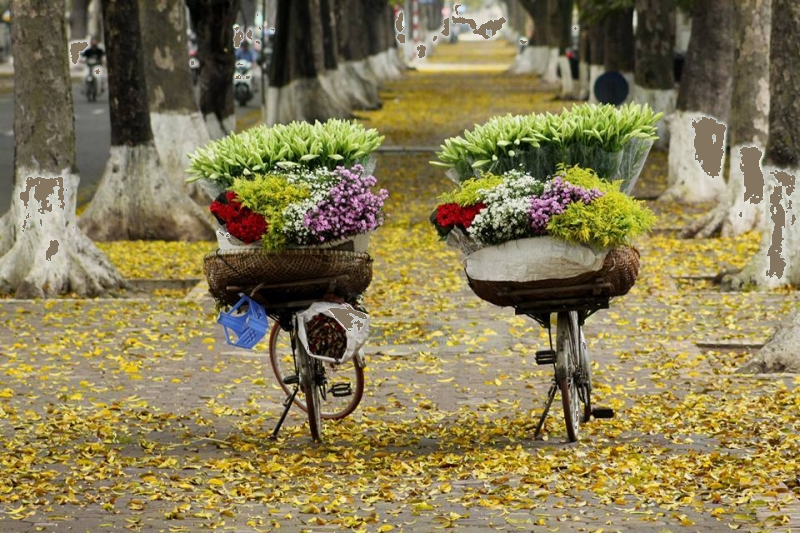Trắc nghiệm Bài 23: Nhân số có hai chữ số với số có một chữ số Toán 3 Kết nối tri thức 0 8