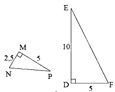 Trắc nghiệm Bài 3: Các trường hợp đồng dạng của hai tam giác vuông Toán 8 Chân trời sáng tạo 0 30