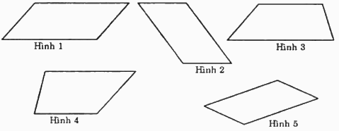 Trắc nghiệm Bài 3: Hình bình hành Toán 6 Cánh diều 0 18