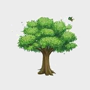 Trắc nghiệm Bài 39: Chia cho số có một chữ số Toán 4 Kết nối tri thức 0 5