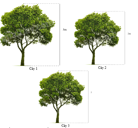 Trắc nghiệm Bài 4: Hai hình đồng dạng Toán 8 Chân trời sáng tạo 0 21
