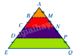 Trắc nghiệm Bài 4: Hai hình đồng dạng Toán 8 Chân trời sáng tạo 0 34
