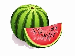 Trắc nghiệm Bài 4: Ôn tập bảng nhân 2 ; 5; bảng chia 2 ; 5 Toán 3 Kết nối tri thức 0 12