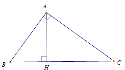Trắc nghiệm Bài 8: Trường hợp đồng dạng thứ ba của tam giác Toán 8 Cánh diều 0 31