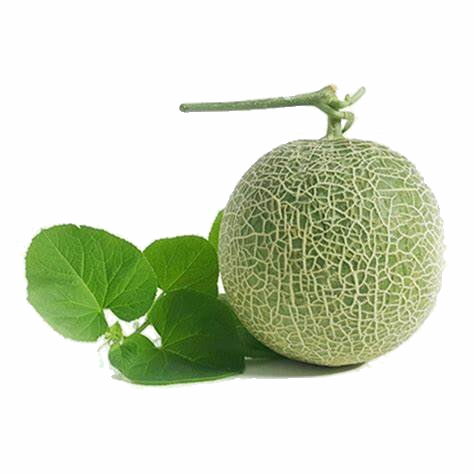 Trắc nghiệm: Chia số có năm chữ số cho số có một chữ số Toán 3 Kết nối tri thức 0 23