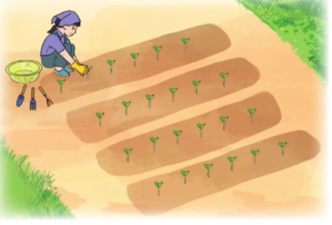 Trắc nghiệm: Ôn tập về phép nhân, bảng nhân 2, bảng nhân 5 Toán 3 Cánh diều 0 5