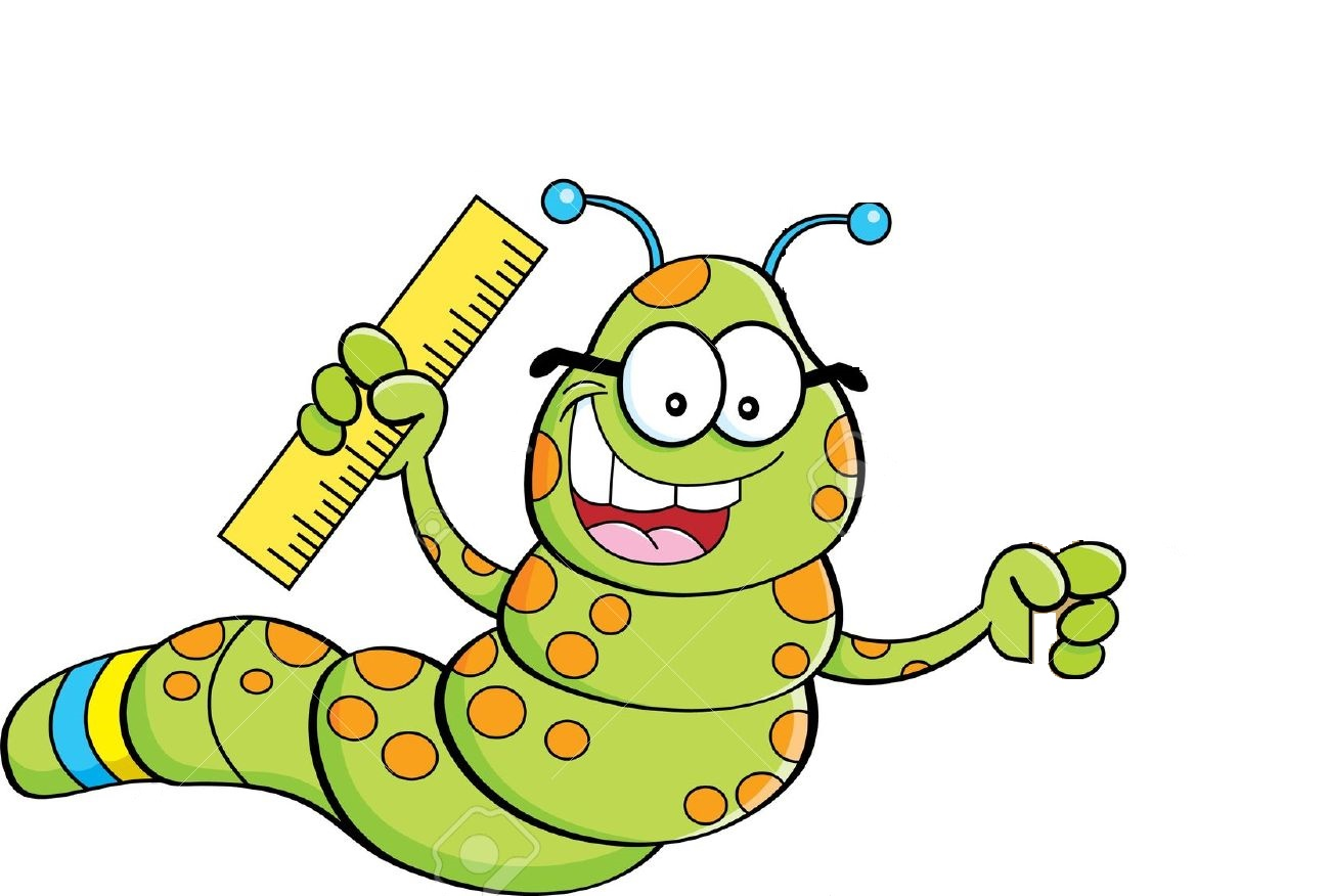 Trắc nghiệm: Phép chia hết. Phép chia có dư Toán 3 Cánh diều 0 3