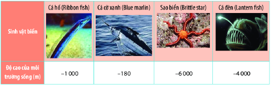 Trắc nghiệm Thứ tự trong tập hợp số nguyên Toán 6 Cánh diều 0 3